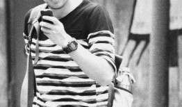 葛麻豆,探寻古老植物的神奇魅力与养生奥秘